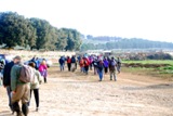 Clicca qui per vedere l'immagine in dettaglio